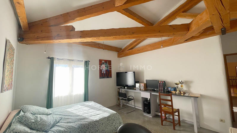 Mas - 300 m² - 9 pièces