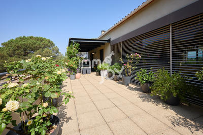 Villa - 320 m² - 8 pièces