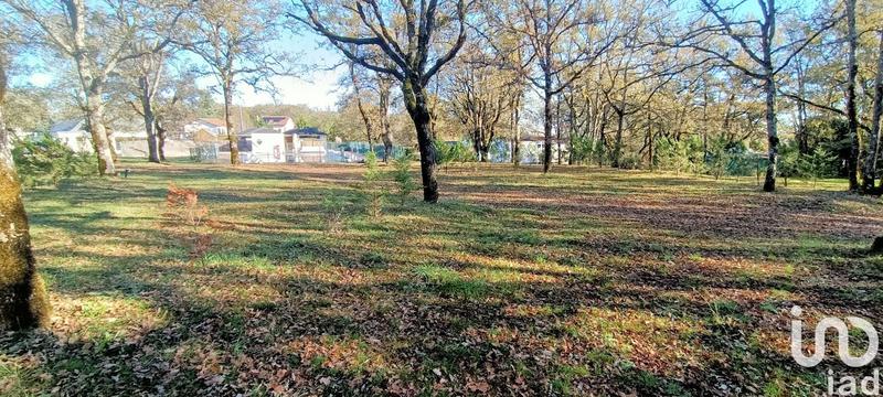 Local commercial - 25 000 m²