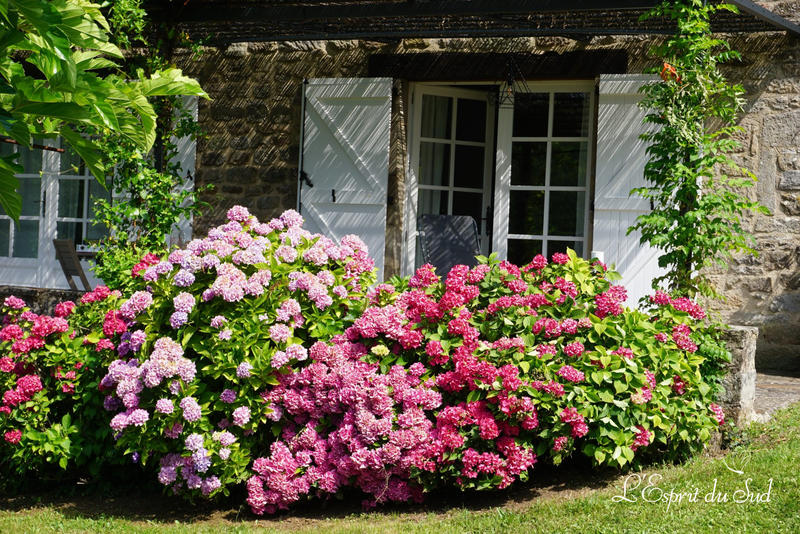 Maison - 260 m² - 8 pièces