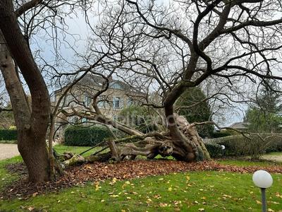 Appartement - 90 m² - 4 pièces