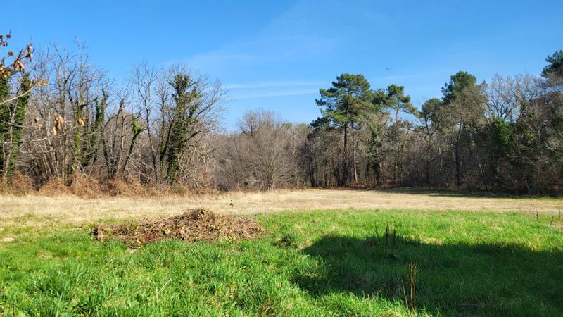 Grange - 99 m² - 1 pièce