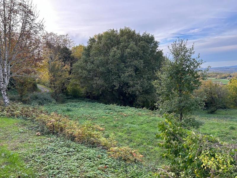 Terrain constructible - 8 085 m²