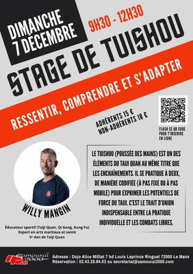 Stage de Tuishou