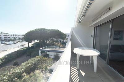 Appartement - 24 m² - 1 pièce