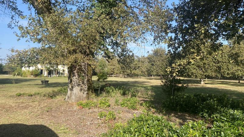 Maison - 151 m² - 6 pièces