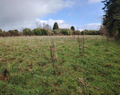 Terrain constructible - 2 560 m²