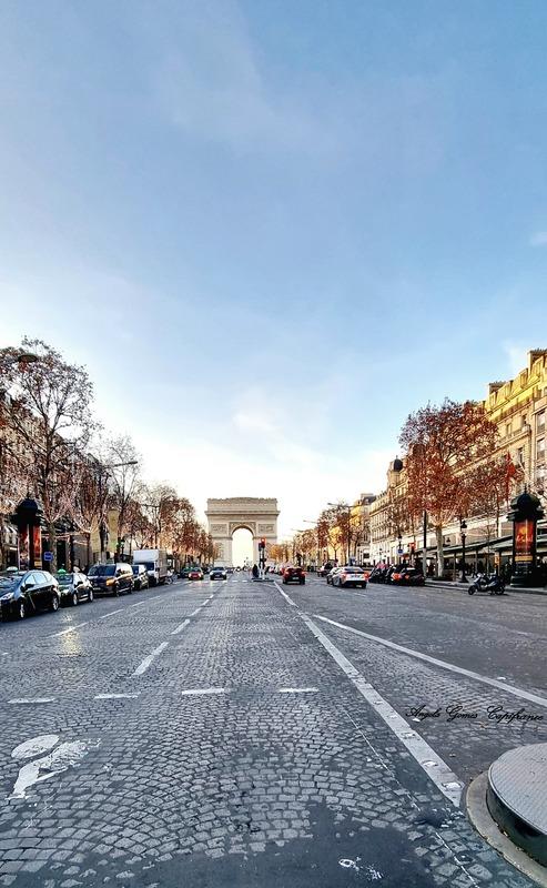 Local commercial - 15 m² - 1 pièce