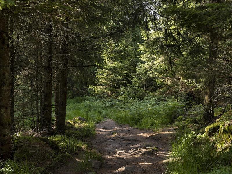 Sentiers Plaisir : des milieux rares ...