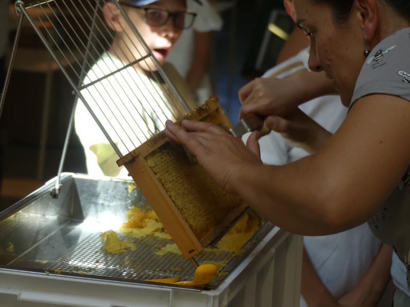 Fête du Miel à Terres d'Oiseaux