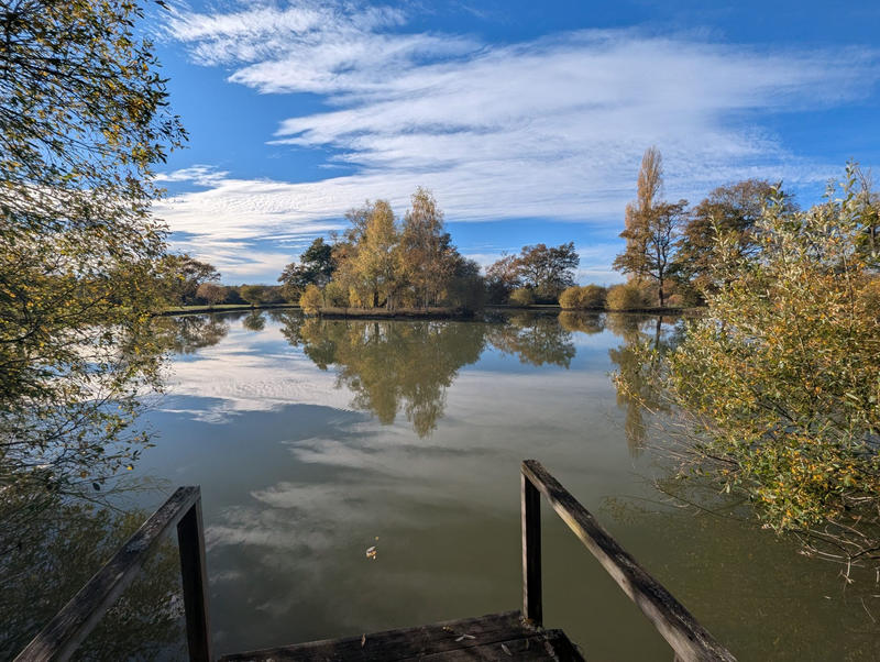 Terrain - 20 387 m²