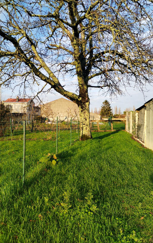 Maison - 88 m² - 4 pièces