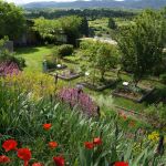 Jardin Conservatoire des Plantes Tinctoriales