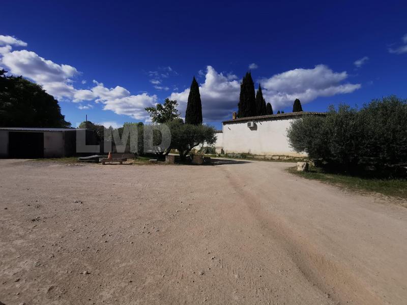 Local d'activités - 875 m²