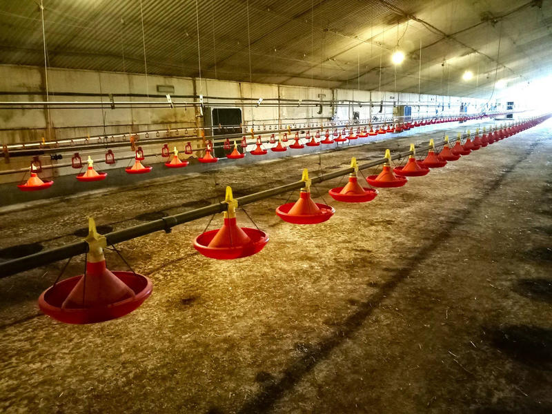 Ferme - 1 m² - 1 pièce