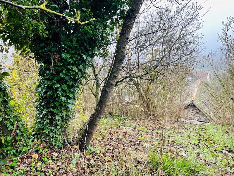 Maison - 150 m² - 1 pièce