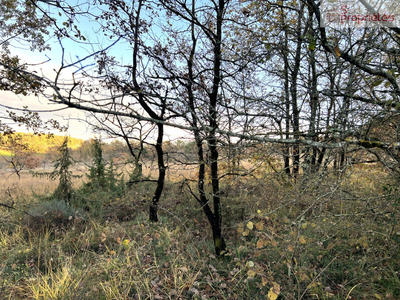 Terrain - 550 000 m²