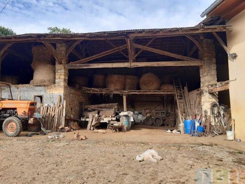 Propriété viticole - 220 m² - 8 pièces