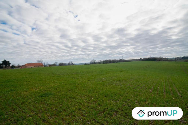 Terrain agricole - 8 000 m²