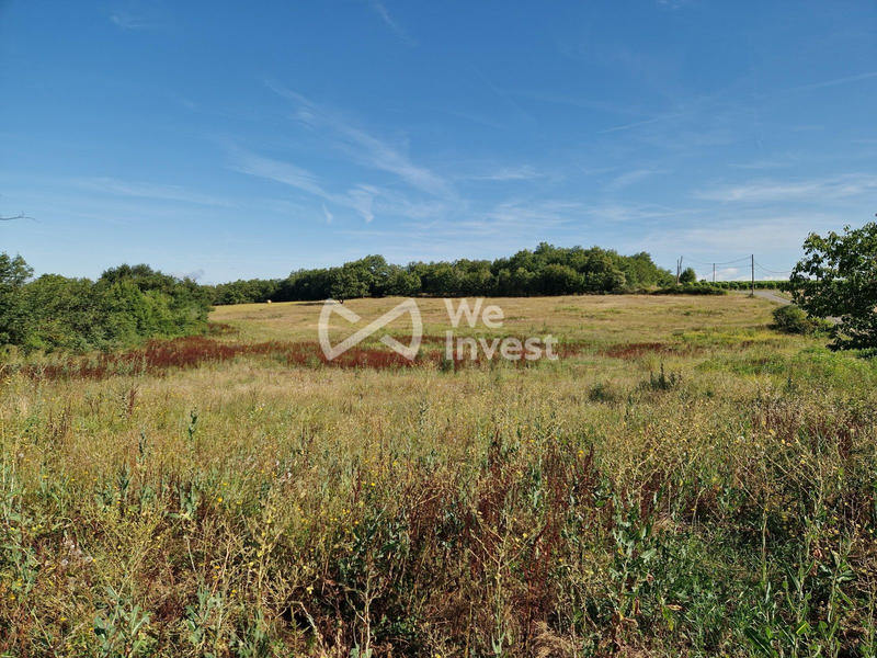 Terrain - 16 575 m²