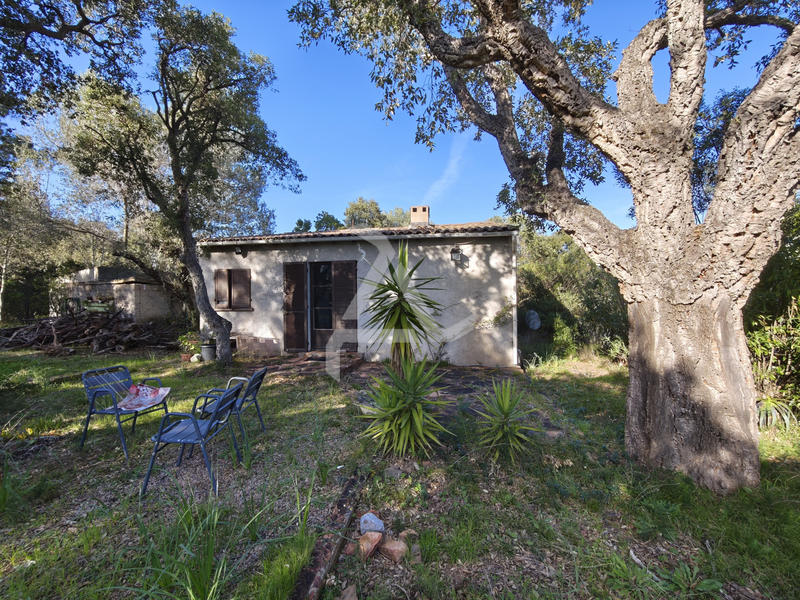 Maison - 41 m² - 1 pièce