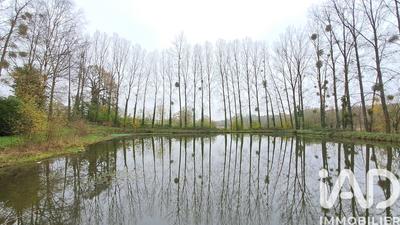 Terrain - 13 447 m²