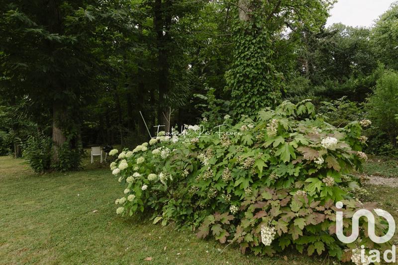 Maison de maîtres - 330 m² - 8 pièces