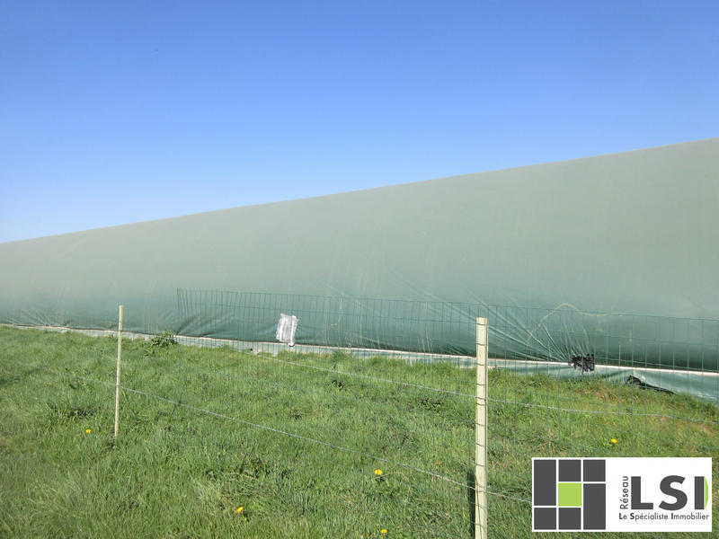 Terrain agricole - 4 000 m²