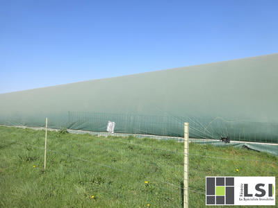Terrain agricole - 4 000 m²