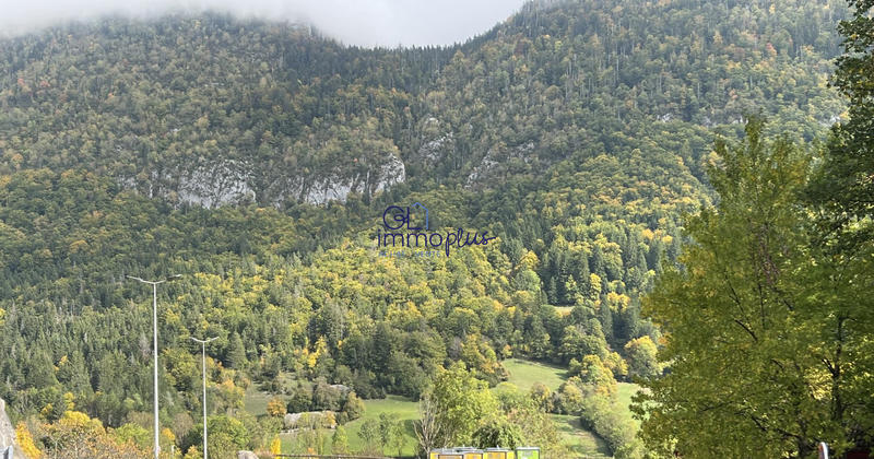 Fonds de commerce - 250 m²