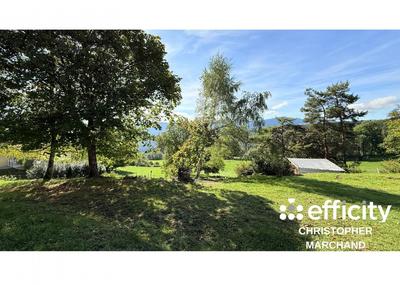 Terrain - 980 m²