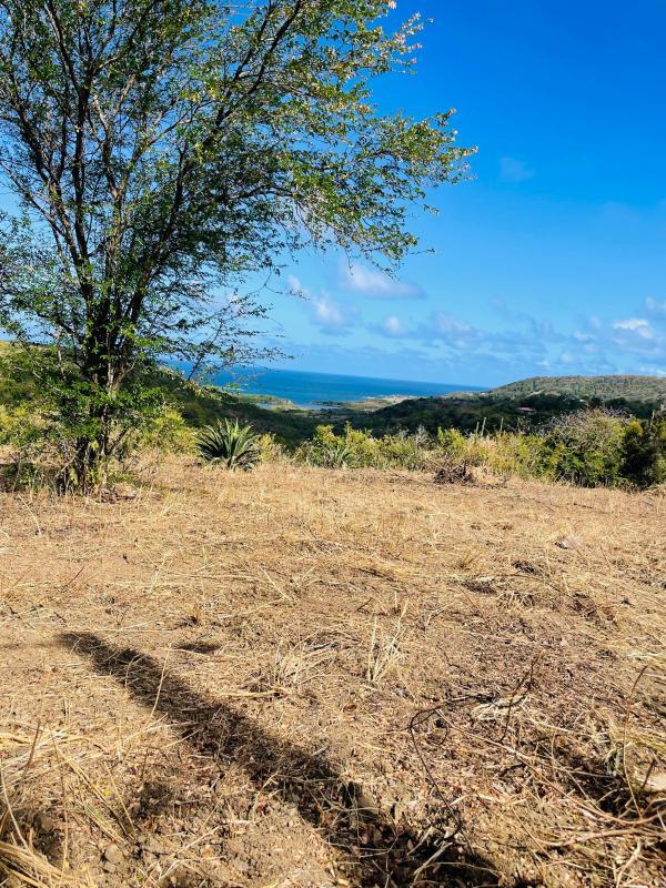 Terrain constructible - 5 600 m²