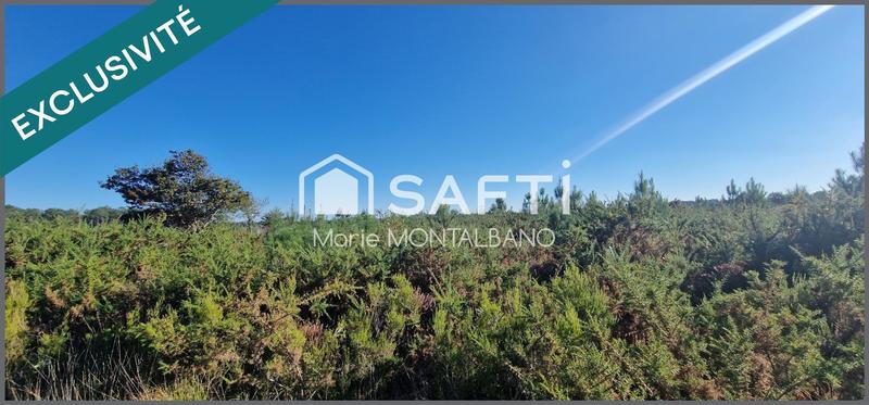 Terrain - 60 400 m²