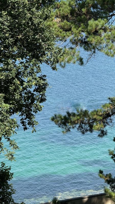 Appartement - 119 m² - 4 pièces