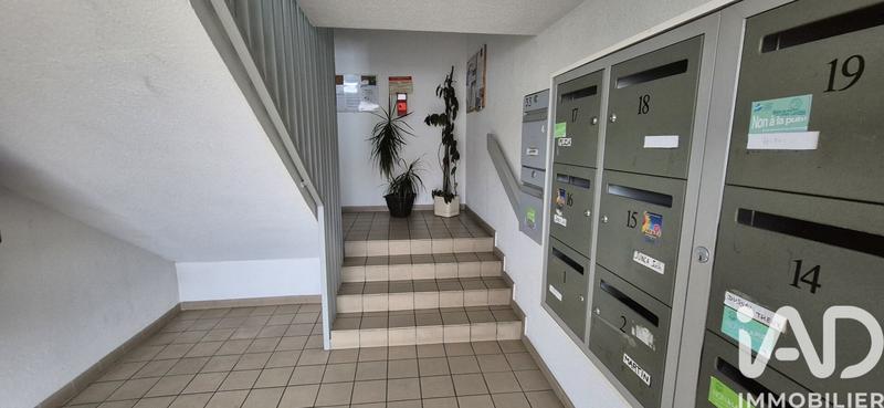 Studio - 24 m² - 1 pièce