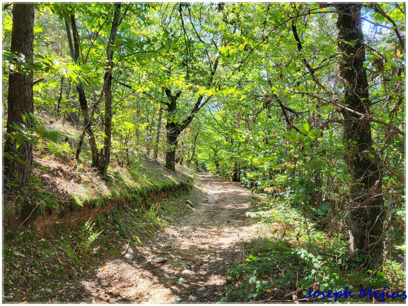 Propriété - 240 m² - 9 pièces