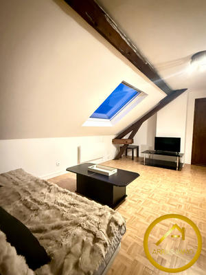 Loft - 49 m² - 2 pièces