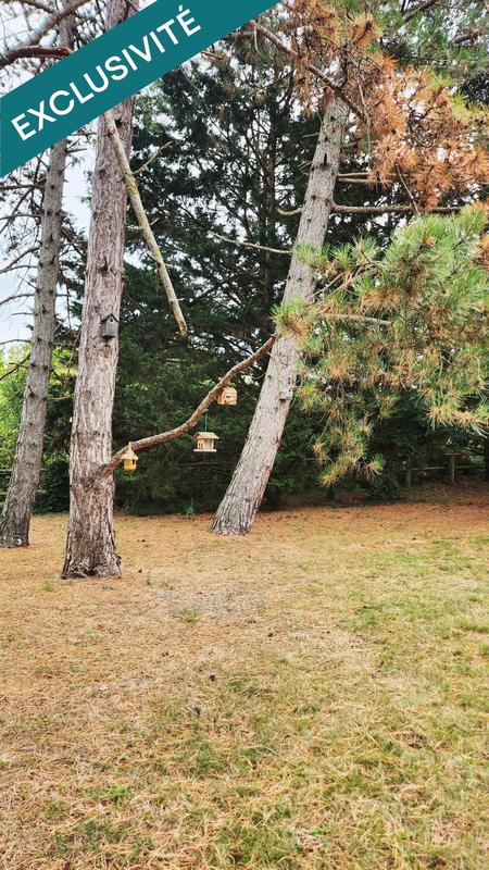 Appartement - 92 m² - 5 pièces