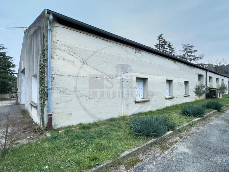 Local commercial - 550 m²