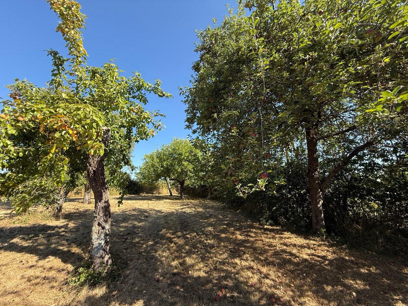 Maison - 50 m² - 2 pièces