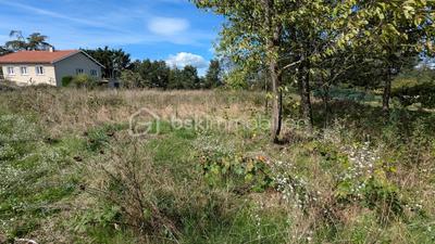 Terrain constructible - 1 324 m²