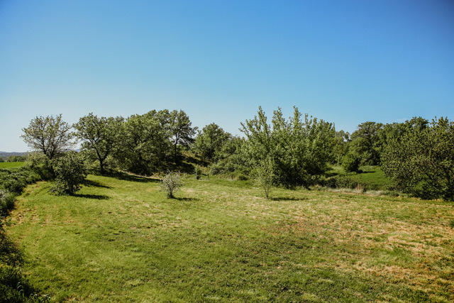 Mas - 486 m² - 19 pièces