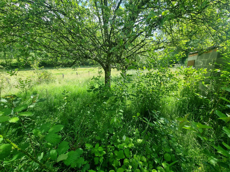 Maison - 68 m² - 3 pièces