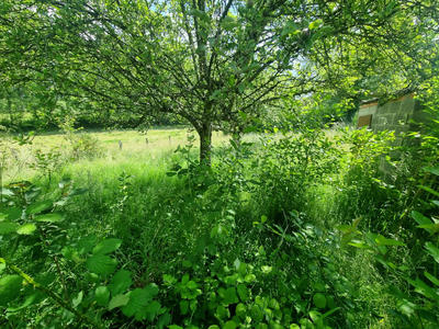 Maison - 68 m² - 3 pièces