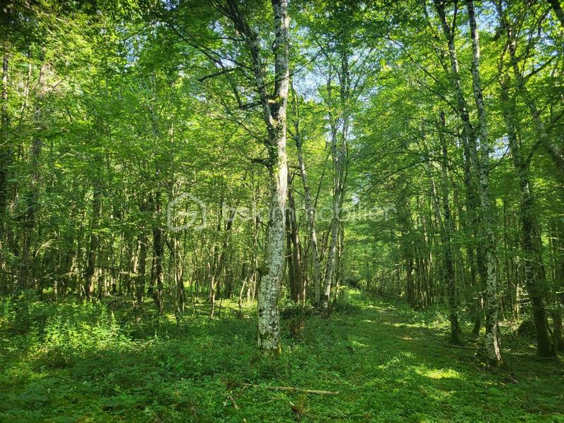 Terrain agricole - 107 573 m²