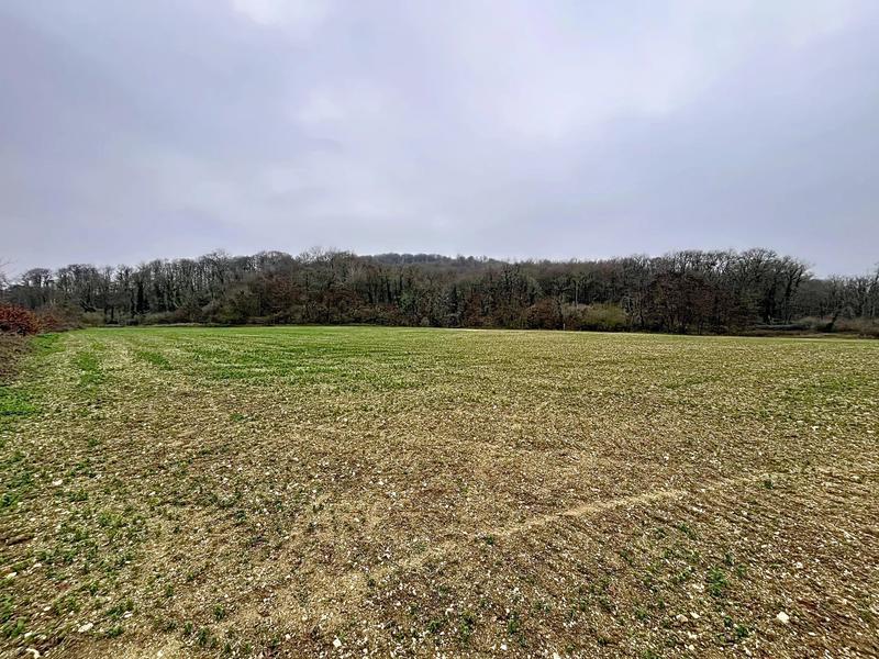 Terrain - 16 645 m²