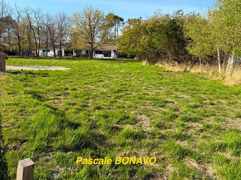 Terrain constructible - 773 m²