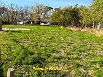 Terrain constructible - 773 m²