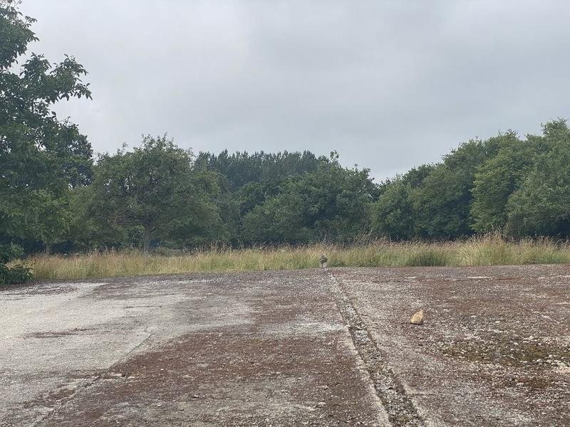 Ferme - 55 m² - 3 pièces