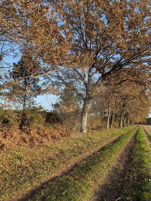 Terrain - 42 134 m²